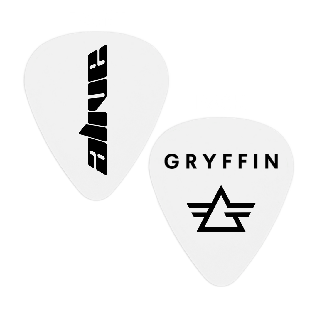 Guitar Pick